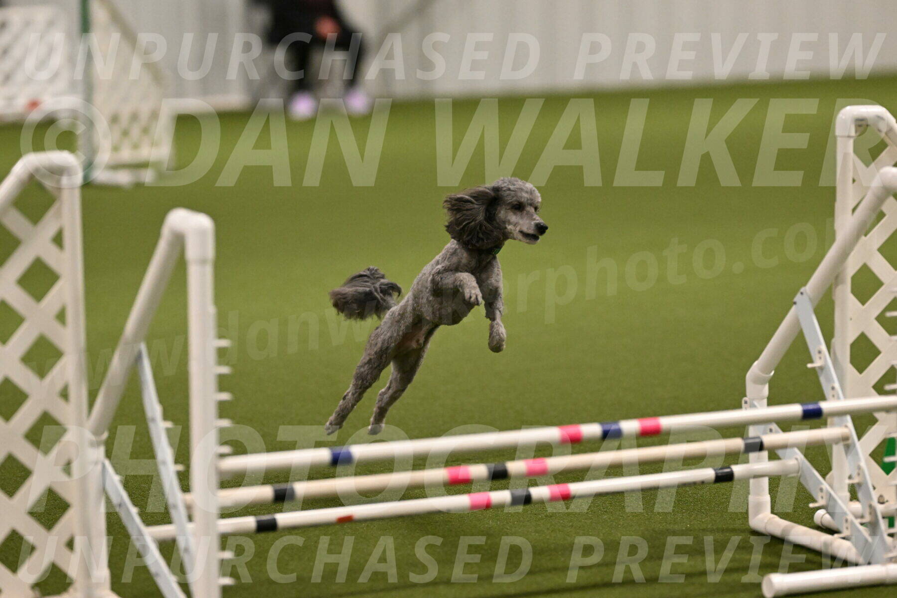 Fizz-Lori-Bieber-00115