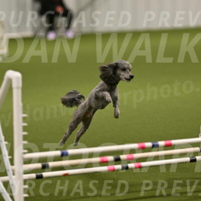 Fizz-Lori-Bieber-00115