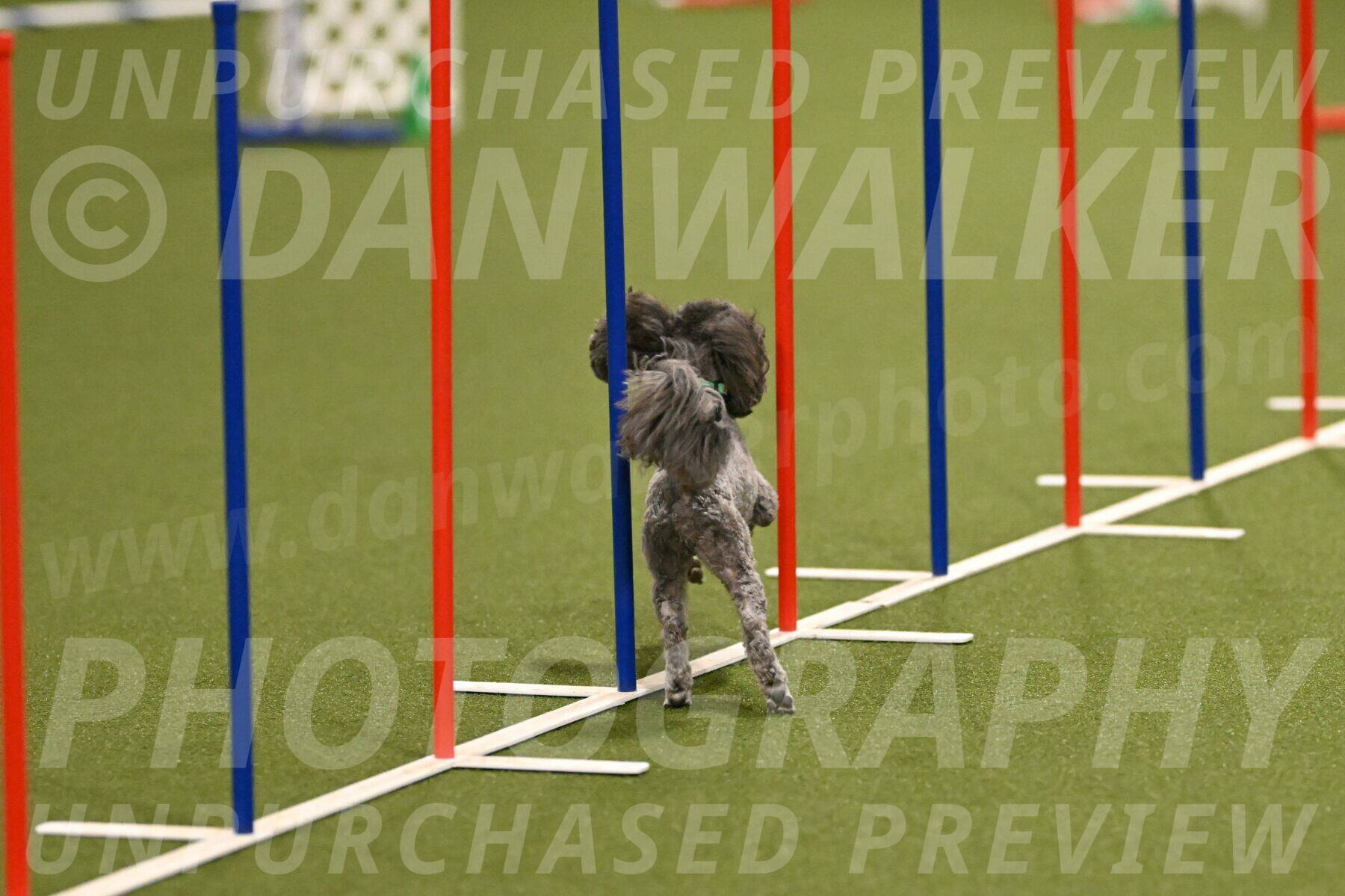 Fizz-Lori-Bieber-00116