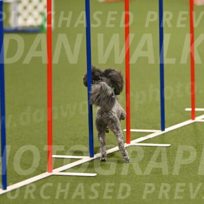 Fizz-Lori-Bieber-00116