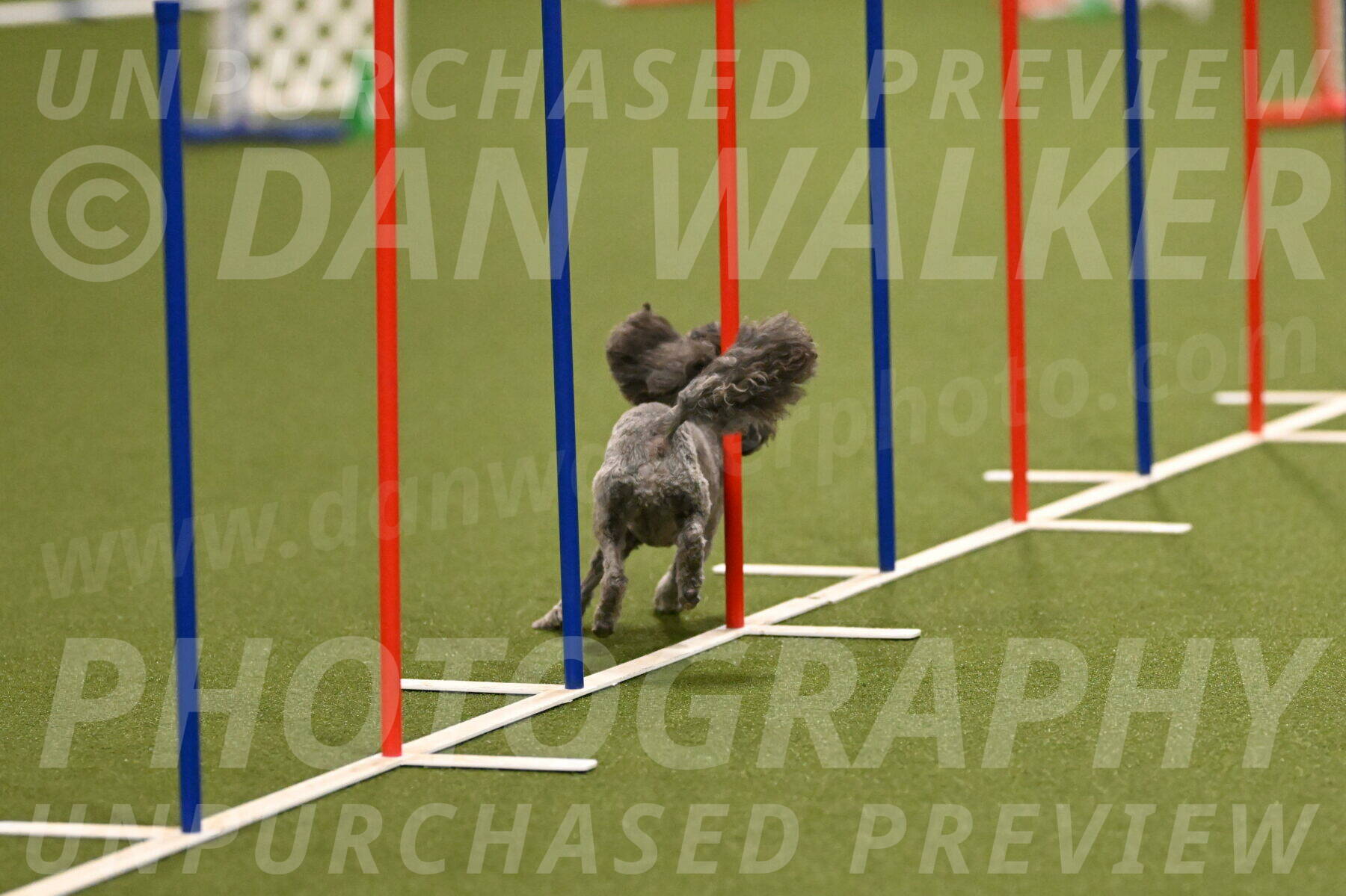 Fizz-Lori-Bieber-00117