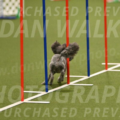 Fizz-Lori-Bieber-00117