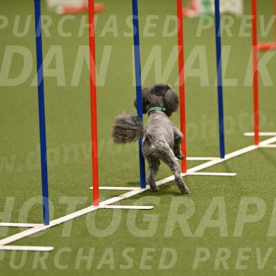 Fizz-Lori-Bieber-00118