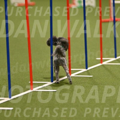 Fizz-Lori-Bieber-00119