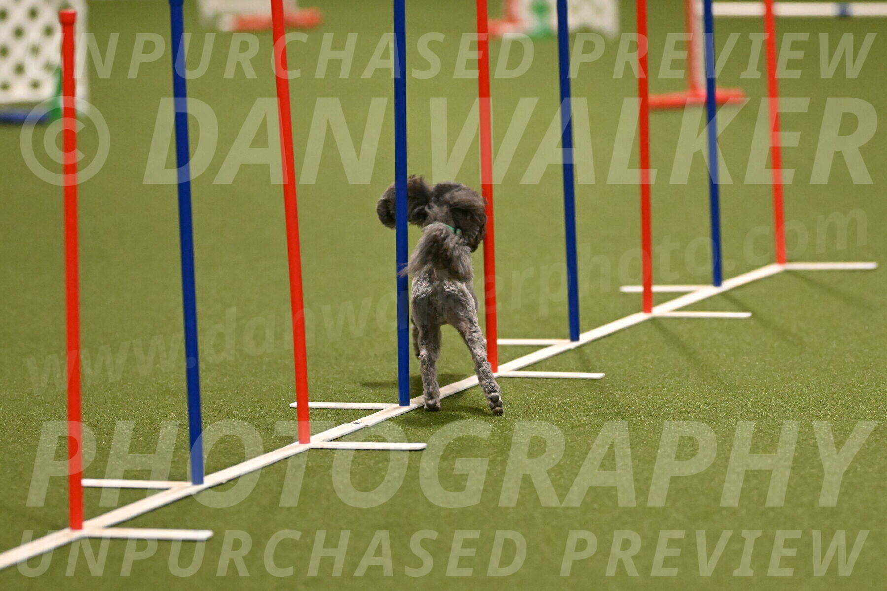 Fizz-Lori-Bieber-00119