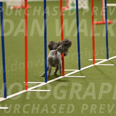 Fizz-Lori-Bieber-00120