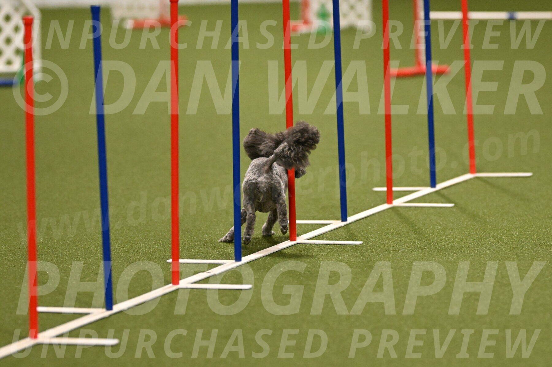 Fizz-Lori-Bieber-00120