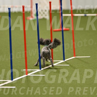 Fizz-Lori-Bieber-00121