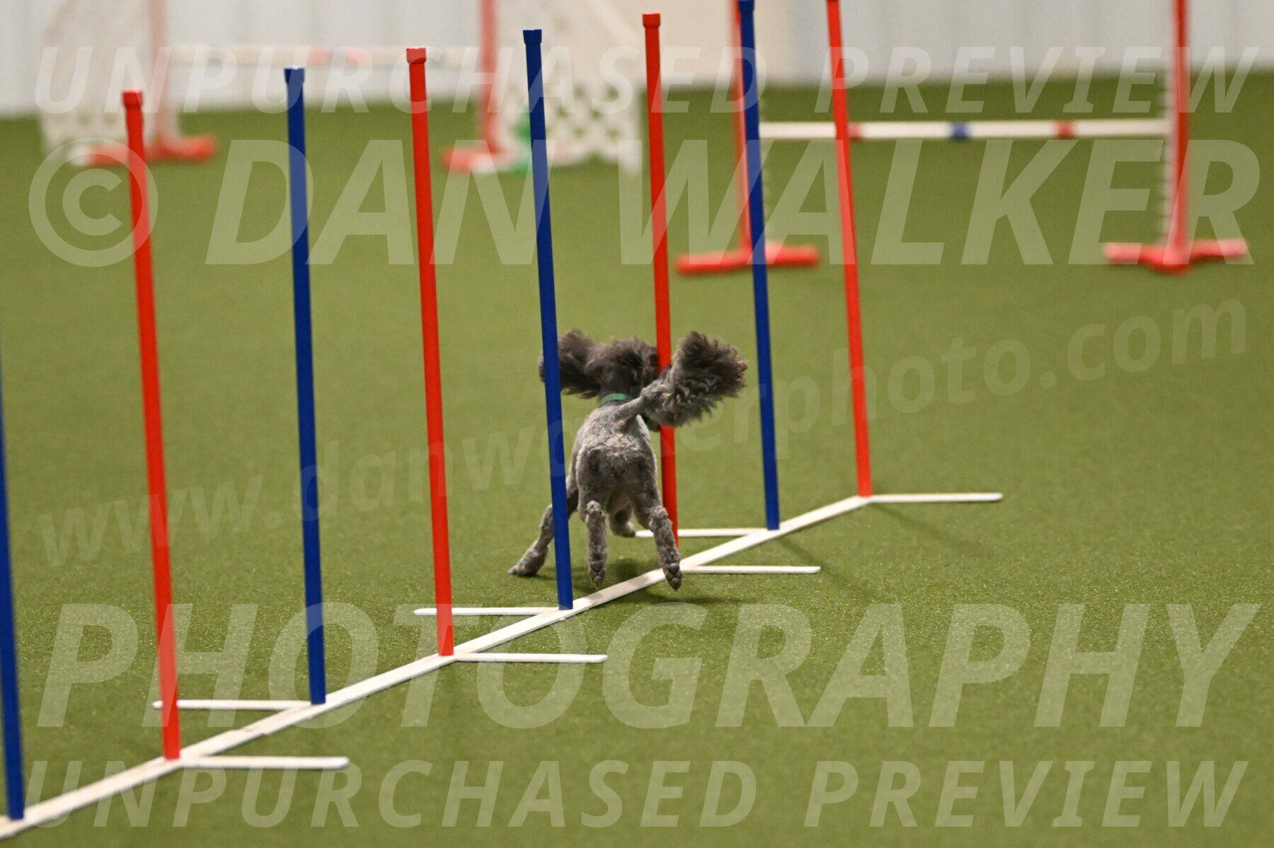 Fizz-Lori-Bieber-00121