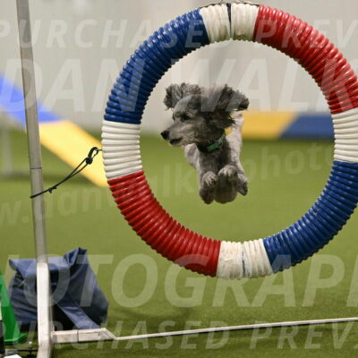 Fizz-Lori-Bieber-00122