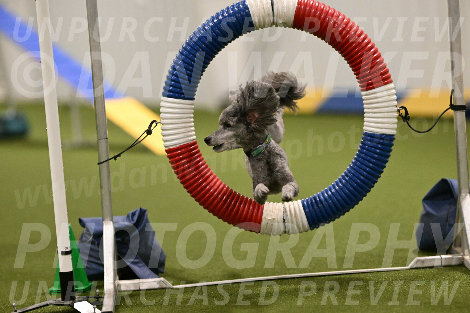 Fizz-Lori-Bieber-00123