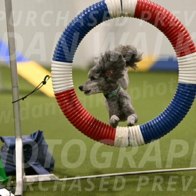 Fizz-Lori-Bieber-00123