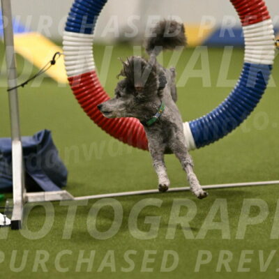 Fizz-Lori-Bieber-00124