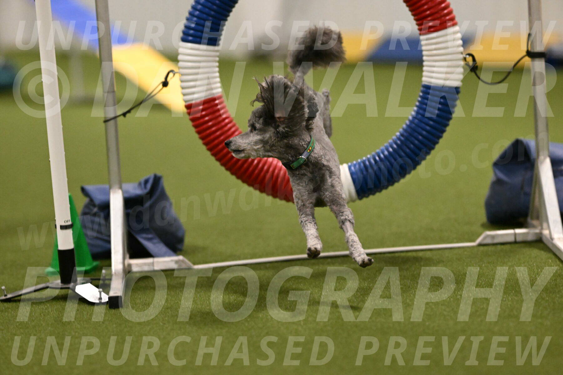 Fizz-Lori-Bieber-00124