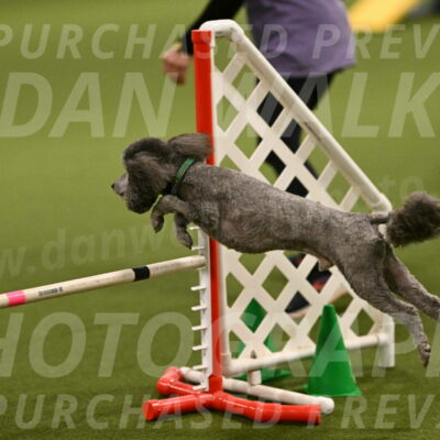 Fizz-Lori-Bieber-00125