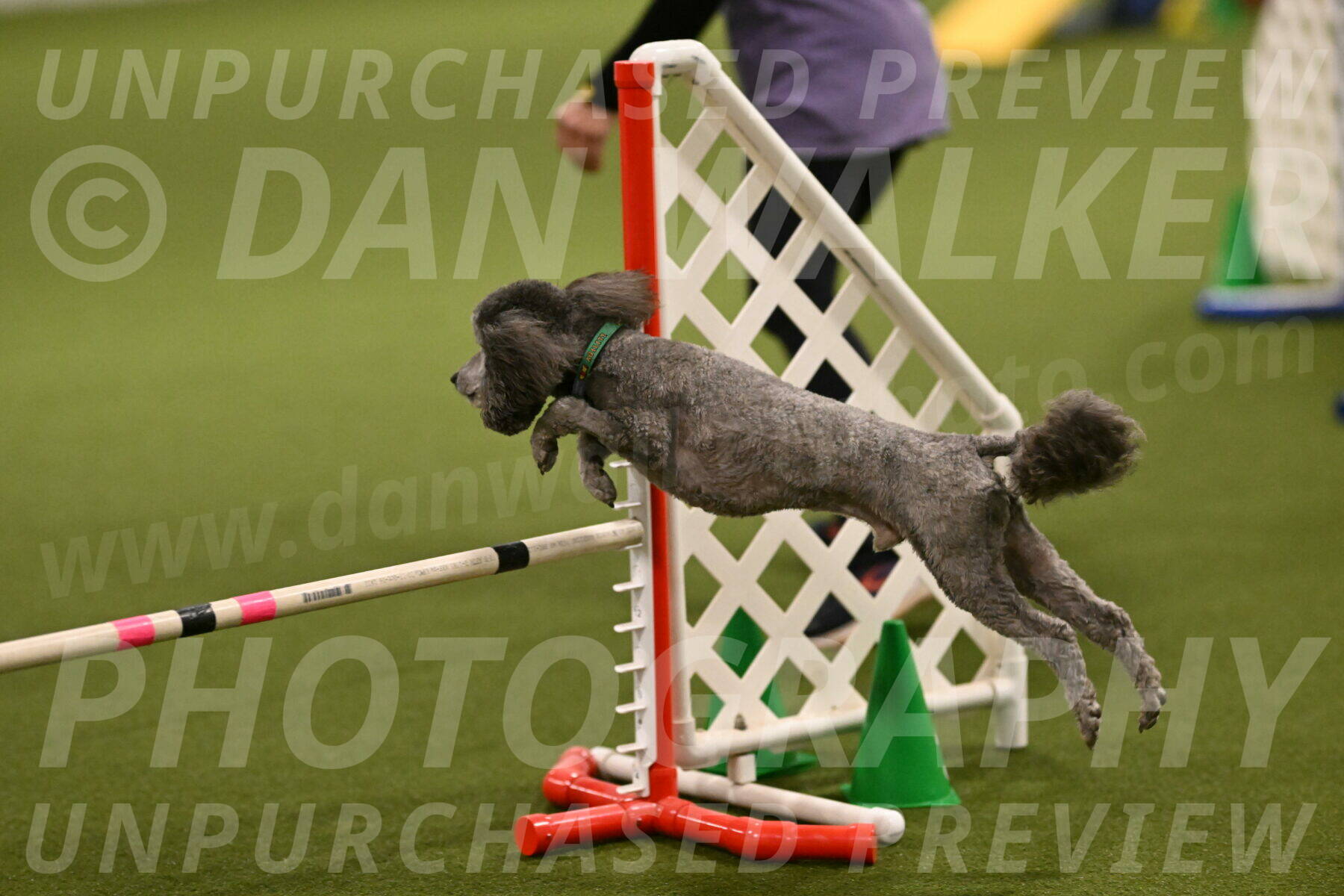 Fizz-Lori-Bieber-00125