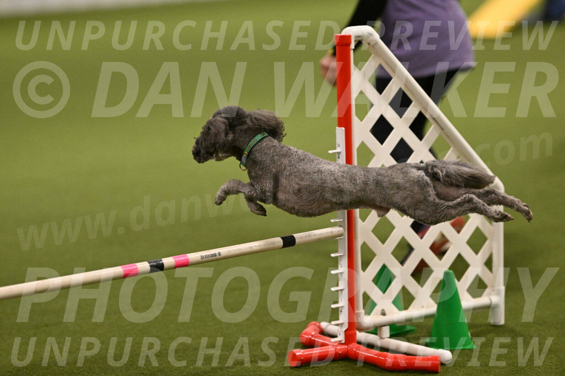 Fizz-Lori-Bieber-00126