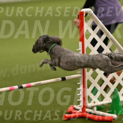 Fizz-Lori-Bieber-00126