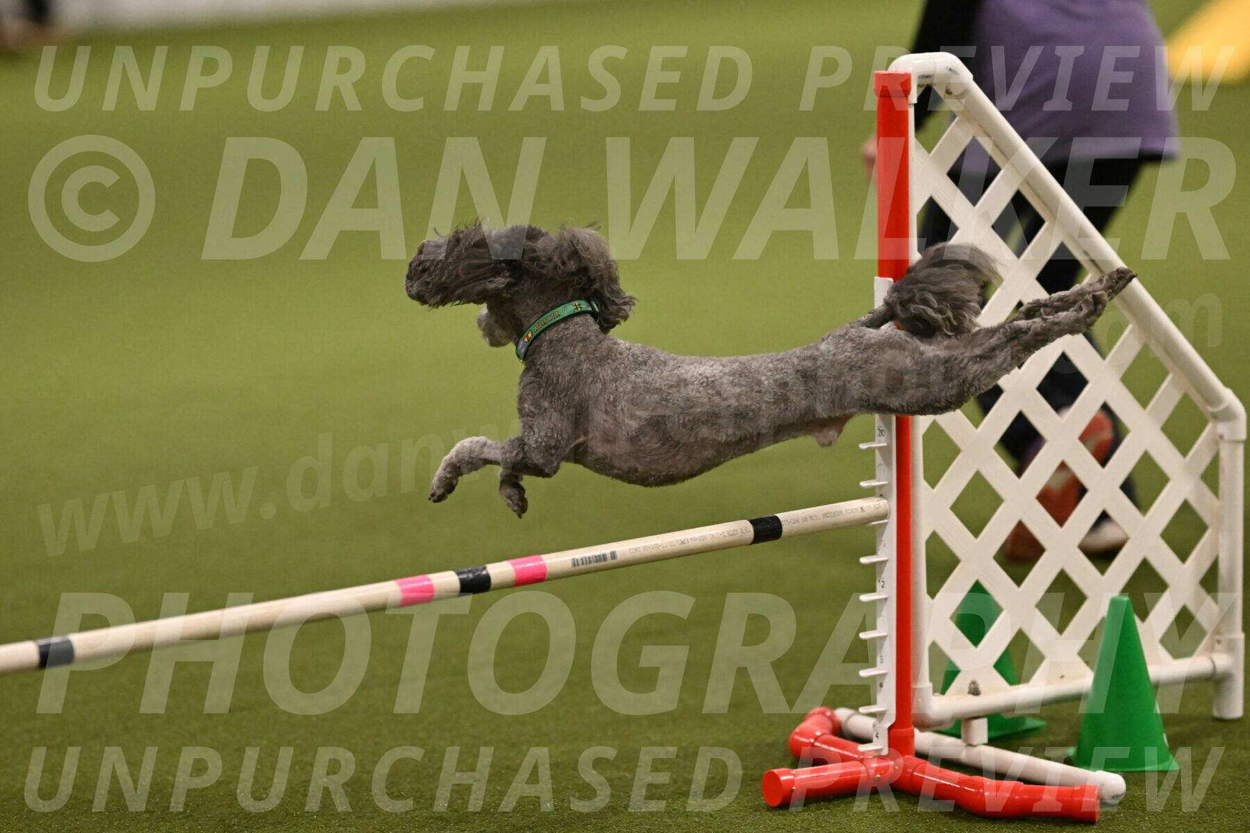 Fizz-Lori-Bieber-00127