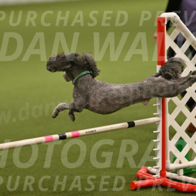 Fizz-Lori-Bieber-00127