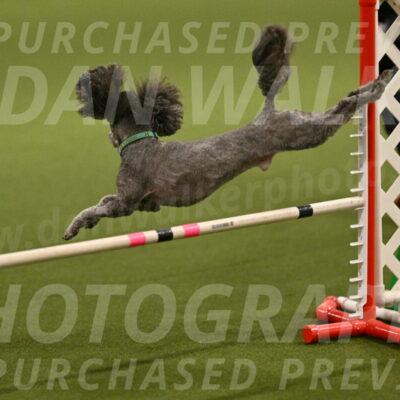 Fizz-Lori-Bieber-00128