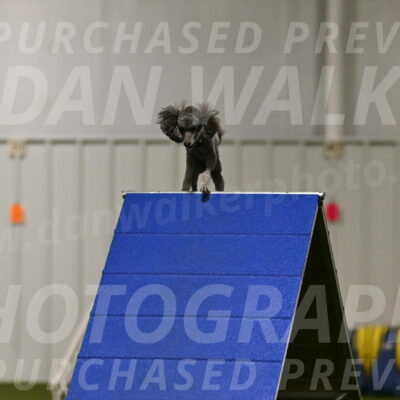 Fizz-Lori-Bieber-00129