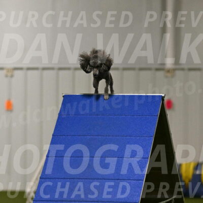 Fizz-Lori-Bieber-00130