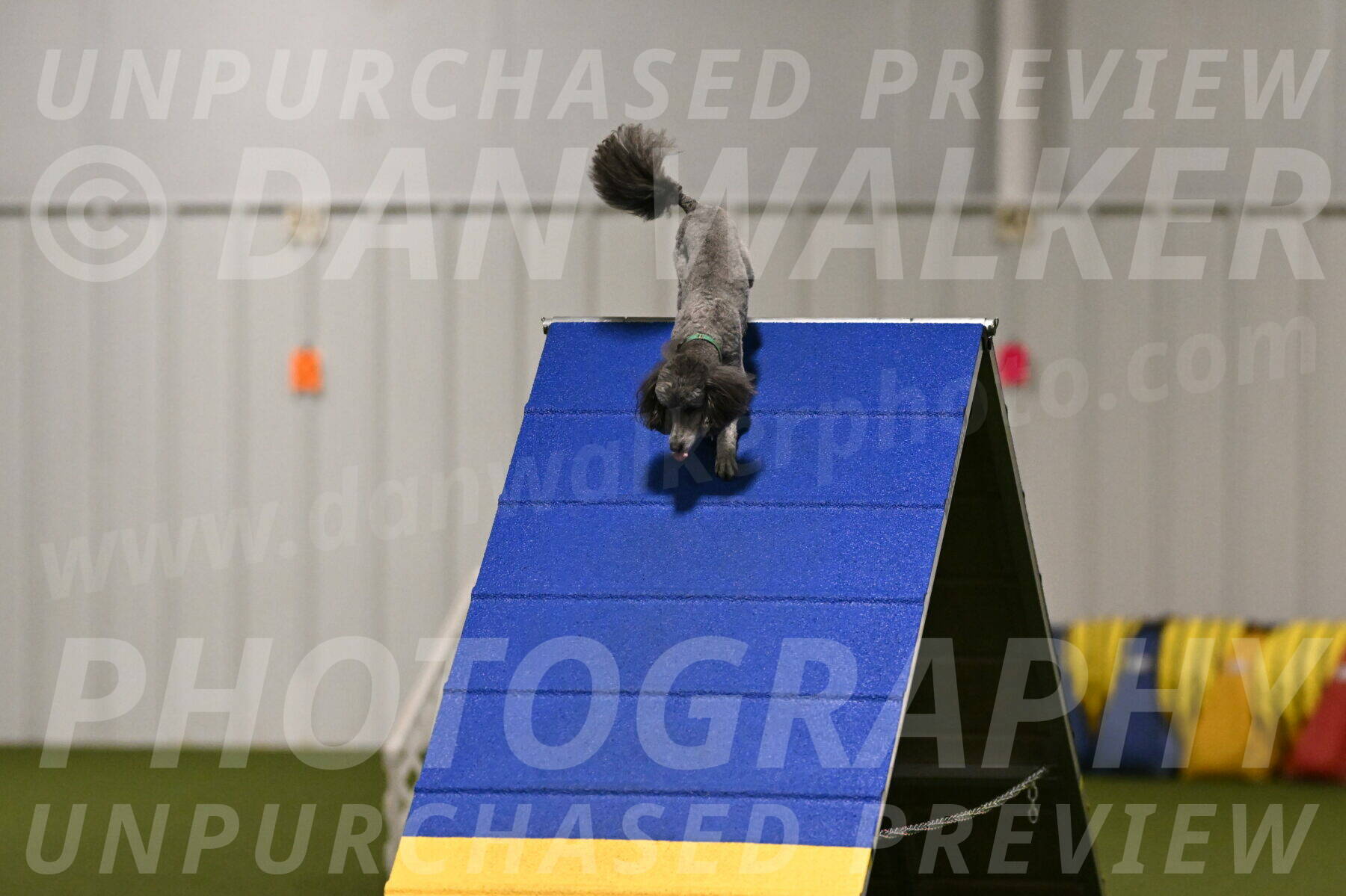 Fizz-Lori-Bieber-00131