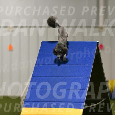 Fizz-Lori-Bieber-00131