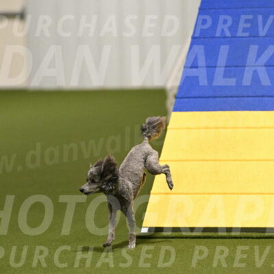 Fizz-Lori-Bieber-00132