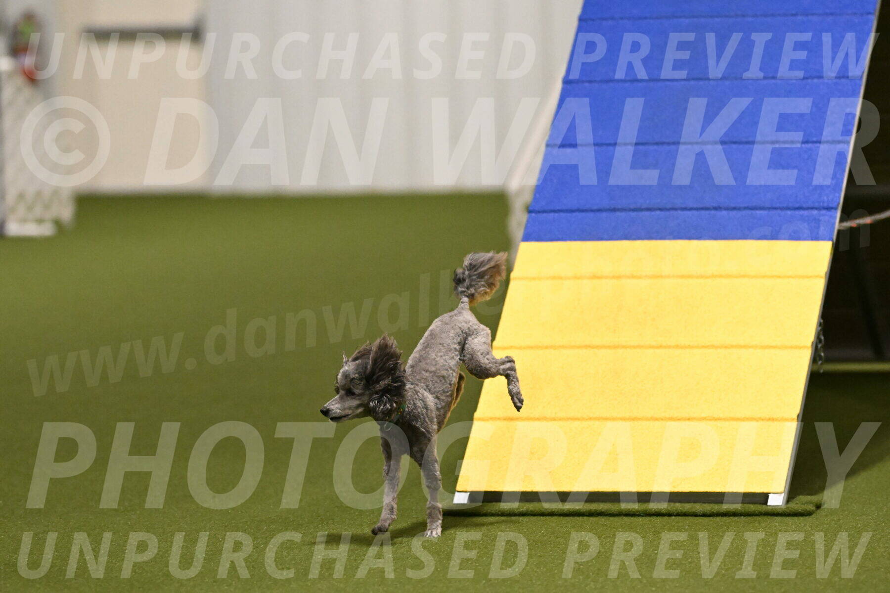 Fizz-Lori-Bieber-00132