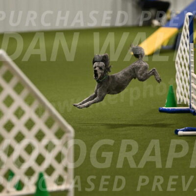 Fizz-Lori-Bieber-00133