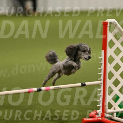 Fizz-Lori-Bieber-00134