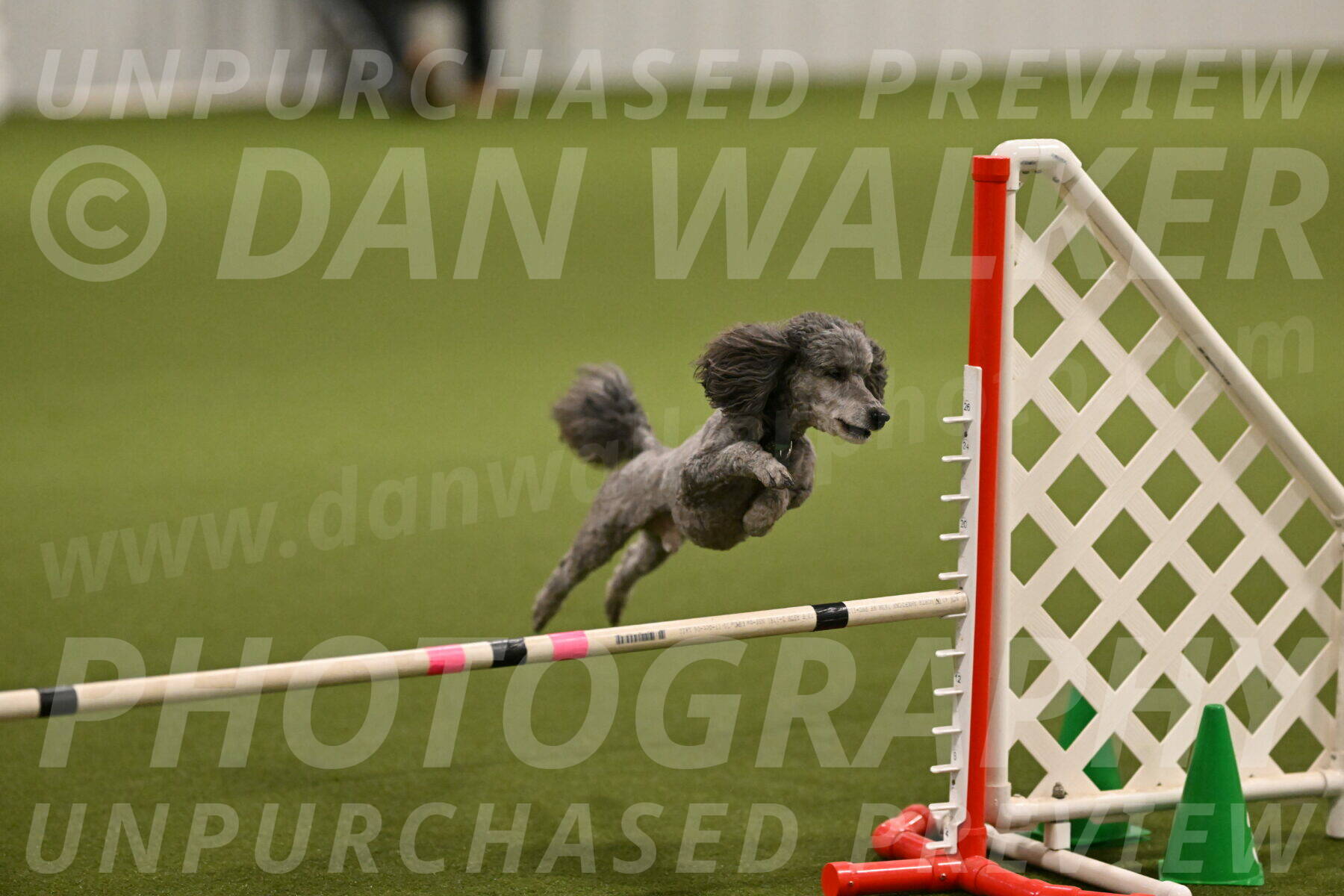 Fizz-Lori-Bieber-00134