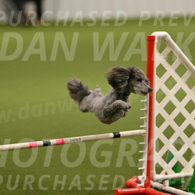 Fizz-Lori-Bieber-00135