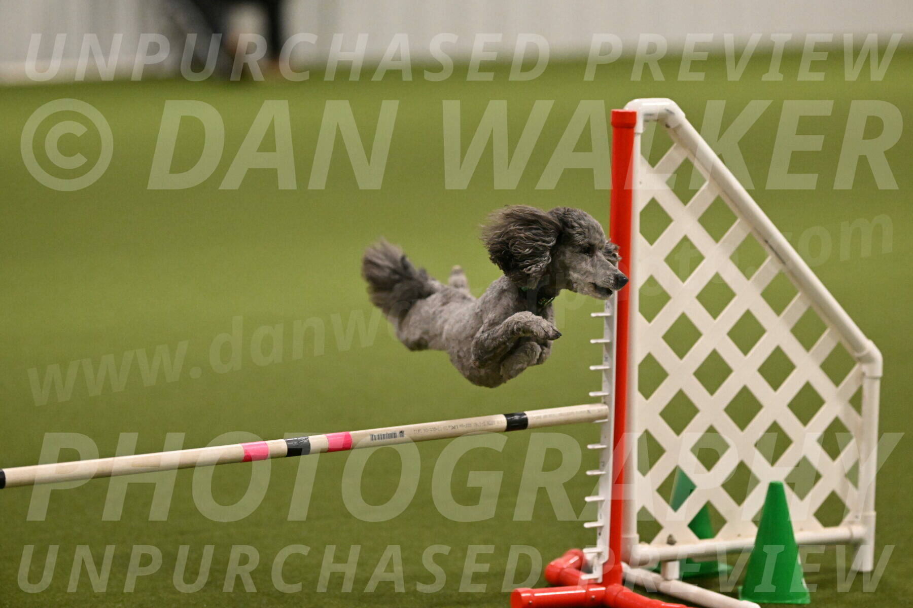 Fizz-Lori-Bieber-00135