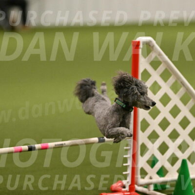 Fizz-Lori-Bieber-00136