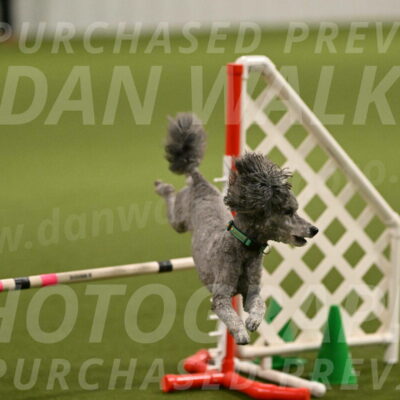 Fizz-Lori-Bieber-00137