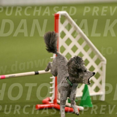 Fizz-Lori-Bieber-00138