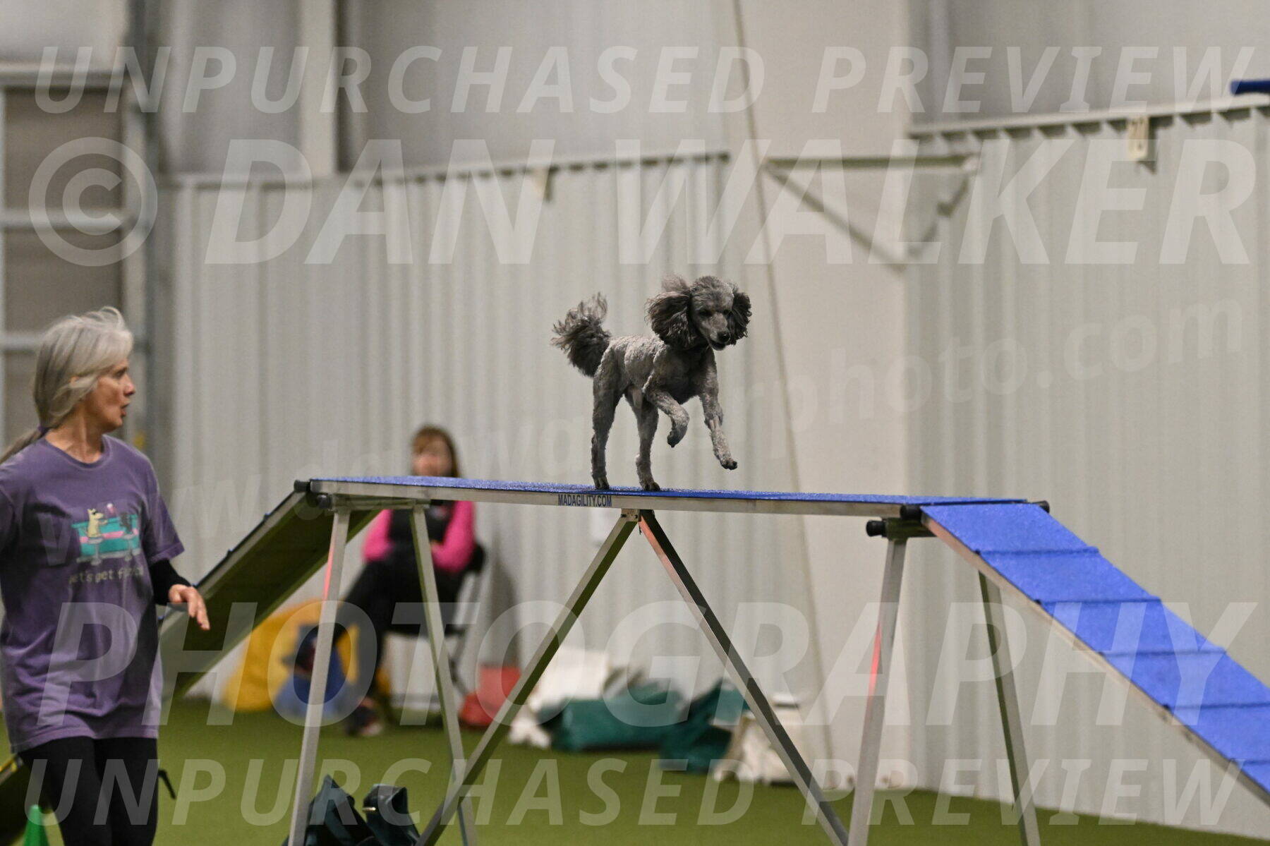 Fizz-Lori-Bieber-00139