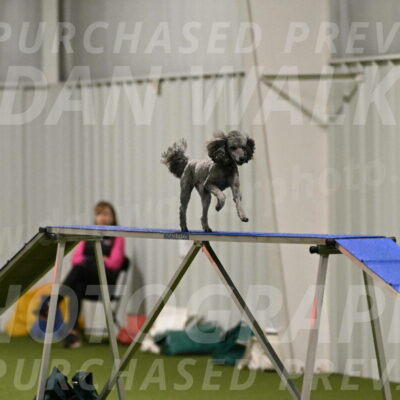 Fizz-Lori-Bieber-00139