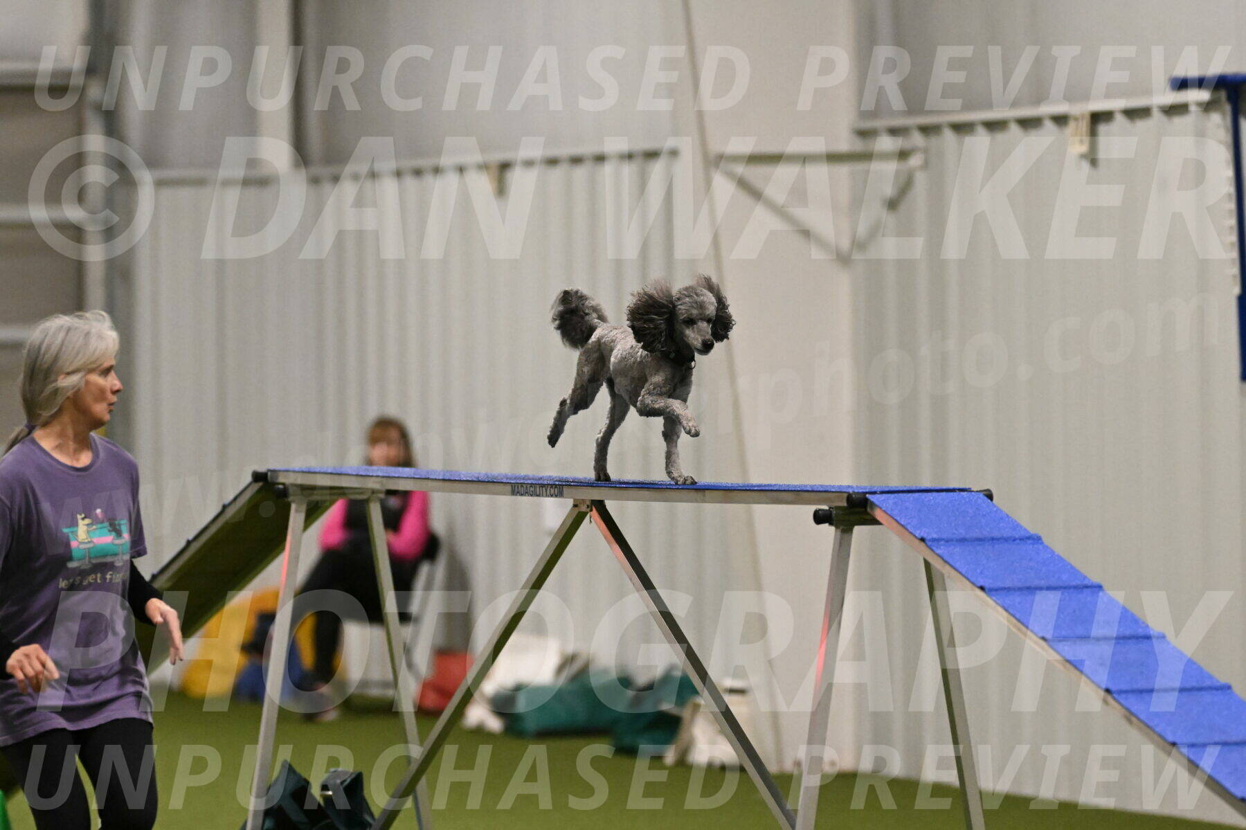 Fizz-Lori-Bieber-00140