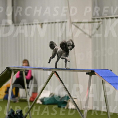 Fizz-Lori-Bieber-00140