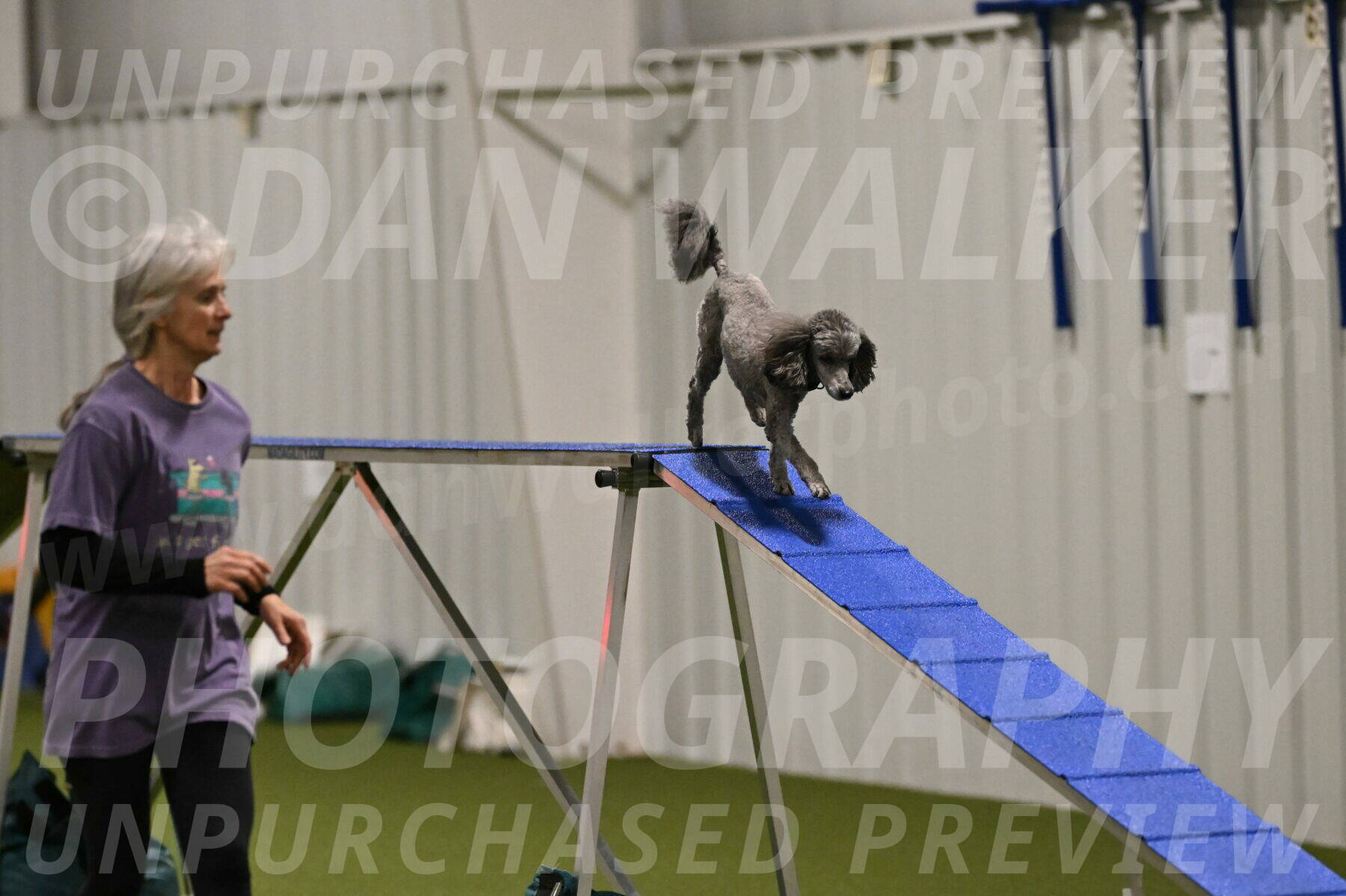 Fizz-Lori-Bieber-00141