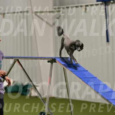 Fizz-Lori-Bieber-00141