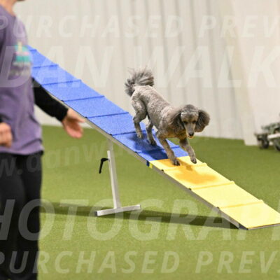 Fizz-Lori-Bieber-00142