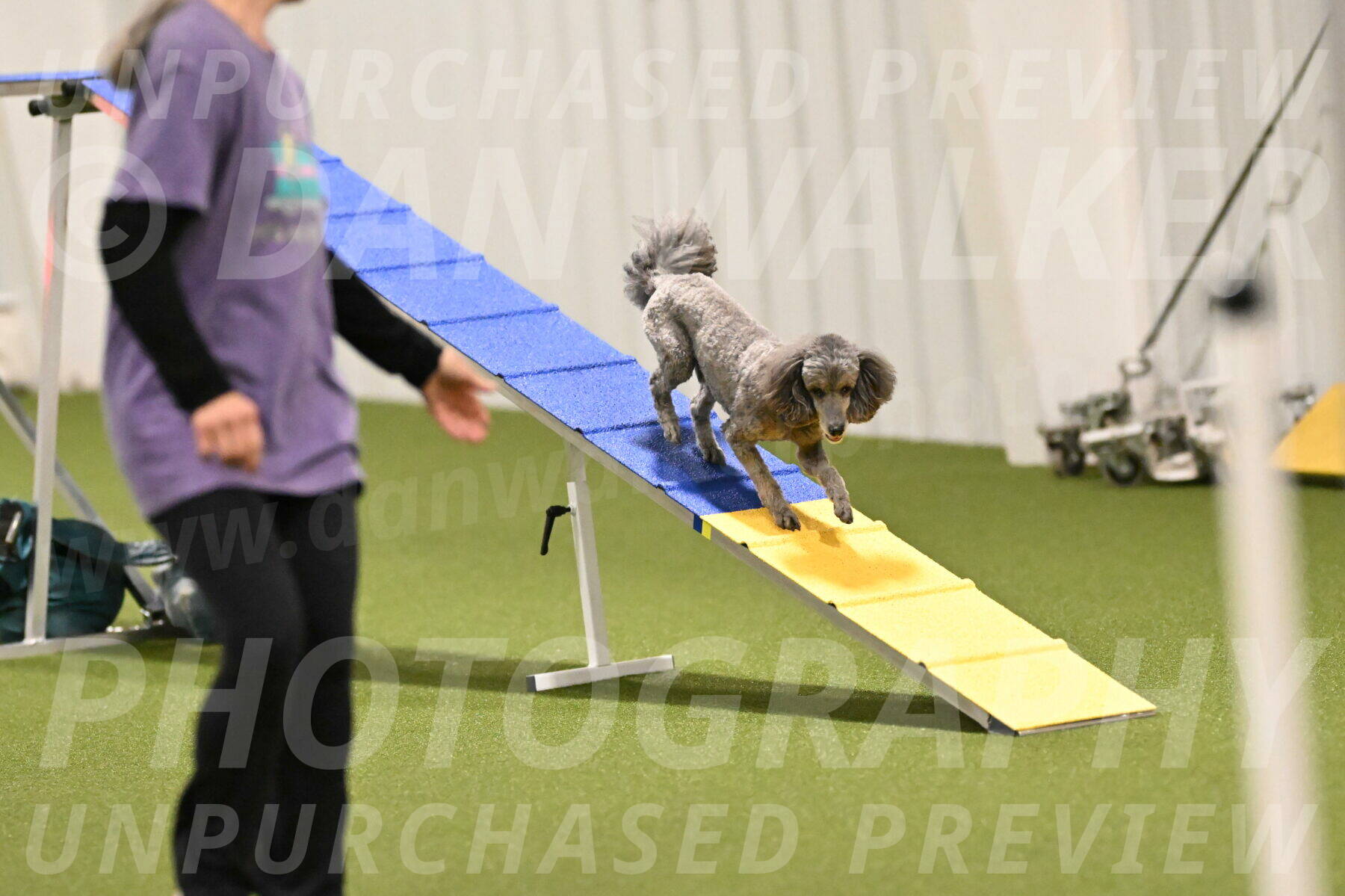 Fizz-Lori-Bieber-00142