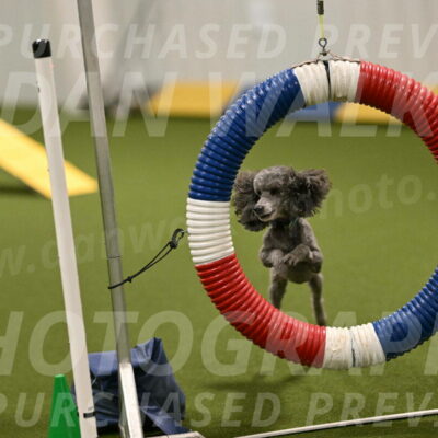 Fizz-Lori-Bieber-00143