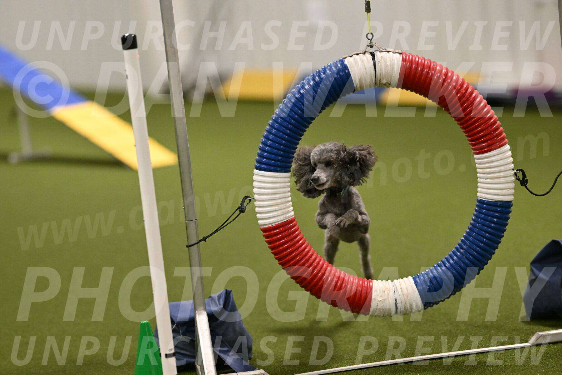 Fizz-Lori-Bieber-00143