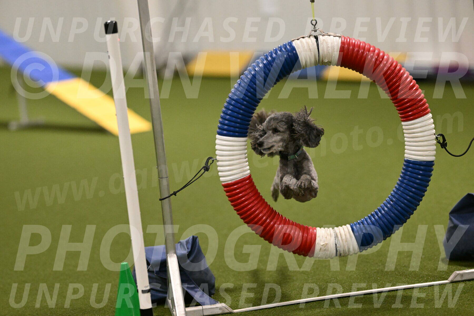 Fizz-Lori-Bieber-00144